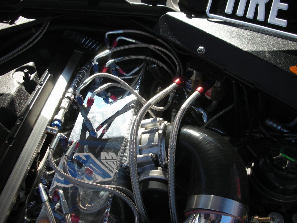 Engine bay with braided lines, intercooler, and custom intake piping. A license plate frame that says 'TIRE' is visible