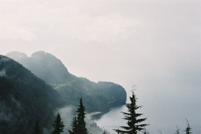 Foggy mountain ridges and evergreen trees overlooking a hazy coastline