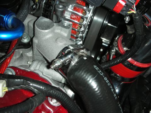 1998 Ford Crown Victoria - Engine bay detail showing a hose, alternator, and various metal and red components.