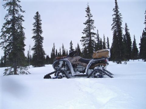 2000 Ford E350 - An ATV equipped with tracks sits partially submerged in deep snow amidst a forest of pine trees.