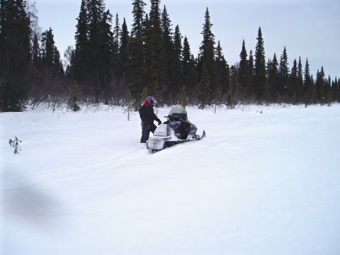 2000 Ford E350 - A person stands beside a snowmobile in a vast, snow-covered landscape with a dense forest bordering the field.