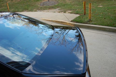 2002 BMW M3 - The glossy finish of the car reflects the bare branches of trees and the sky above.