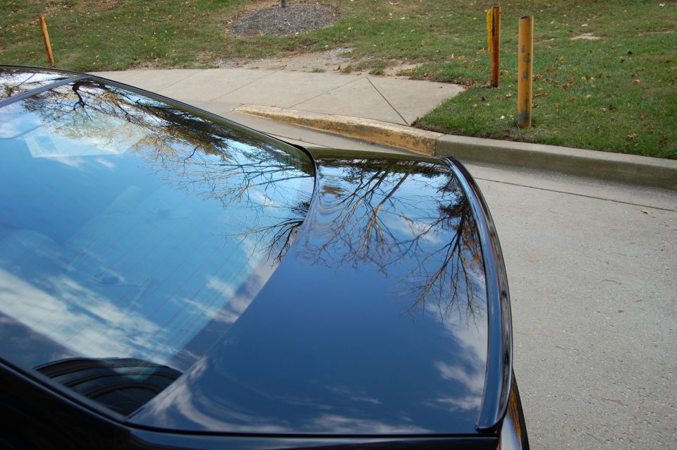 reflection of trees and sky on rear window and trunk of dark car