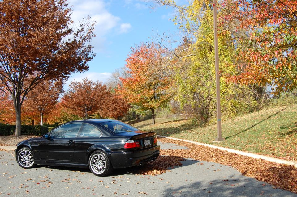 Black BMW M3 parked on a street with autumn leaves on the ground and trees with fall colors