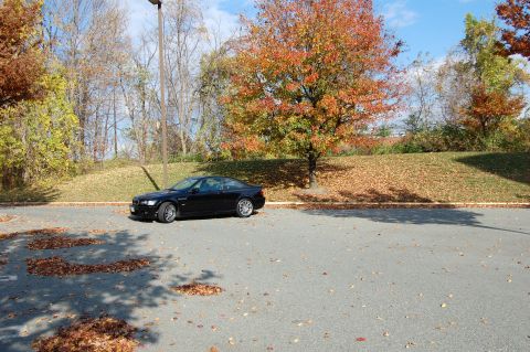 2002 BMW M3 - A black 2002 BMW M3 coupe is seen parked in a lot during autumn, with colorful leaves on the trees and ground.