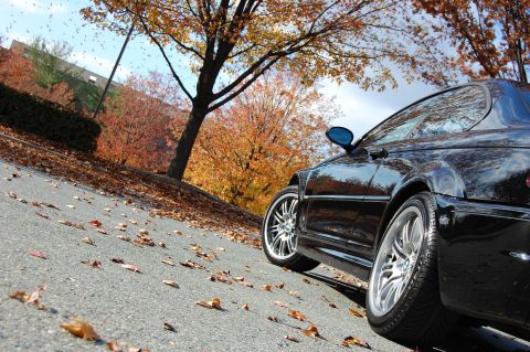 2002 BMW M3 - A black BMW M3 is captured in a low-angle shot during autumn, with fallen leaves scattered on the asphalt.