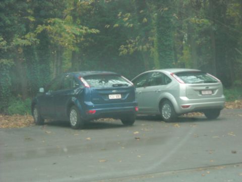 1979 Ford F-150 - Two Ford Focus hatchbacks are seen parked next to each other on a paved surface with trees in the background.
