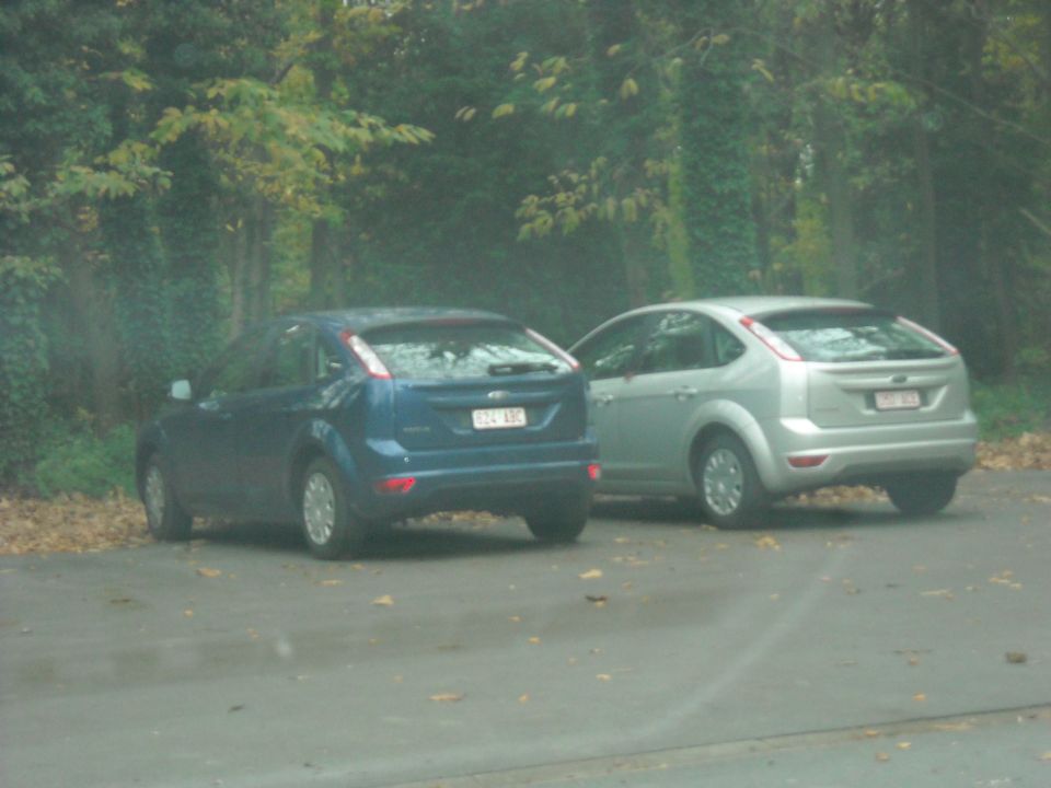 Blue and silver Ford Focus hatchbacks parked side-by-side, rear view