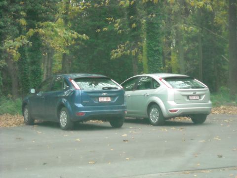 1979 Ford F-150 - Two Ford Focus hatchbacks are parked next to each other in an outdoor setting with trees.