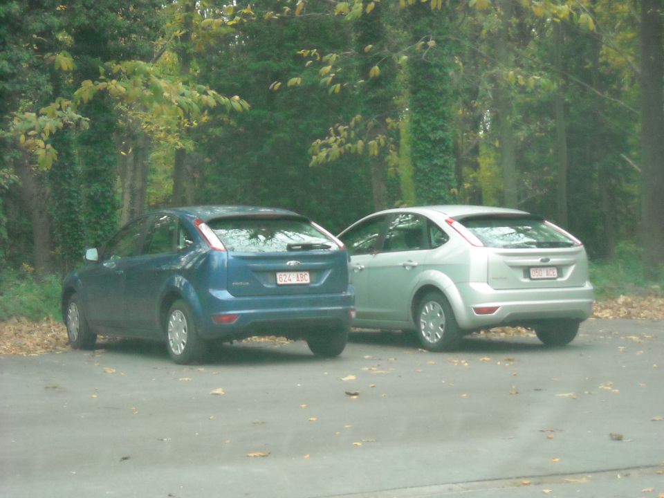 Two Ford Focus hatchbacks, one blue and one silver, parked on asphalt with trees in the background