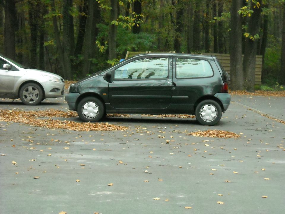 Dark green hatchback car parked next to a silver car, side view, autumn leaves on the ground