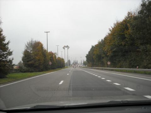 1979 Ford F-150 - A view from a car driving on a highway with trees lining the sides and streetlights overhead.