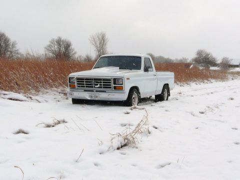 1994 Ford F-150 - Just a picture of the truck hanging out in the snow.