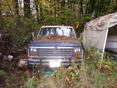 1991 Ford Bronco - This older Ford truck sits abandoned, partially obscured by overgrown vegetation and fallen leaves.