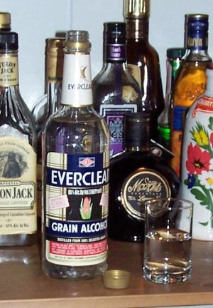 1990 Ford Bronco - A collection of liquor bottles, including Yukon Jack and Everclear Grain Alcohol, are displayed alongside a shot glass.