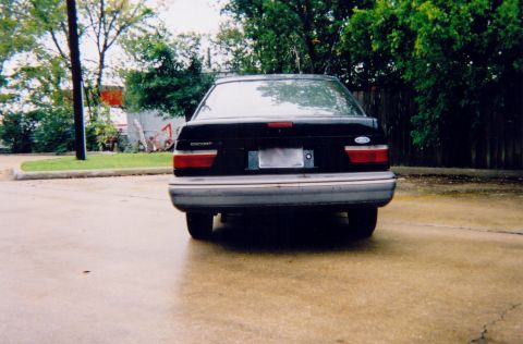 1989 Ford Escort - The rear of a black 1989 Ford Escort sedan is visible on a wet paved surface with trees and foliage in the background.