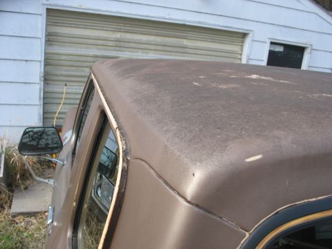 1978 Ford F-250 - Close-up view of a weathered truck roof, showing its texture and color.
