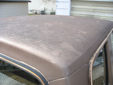 1978 Ford F-250 - The paint on this vehicle's roof is heavily worn and scratched, showing signs of age and exposure.