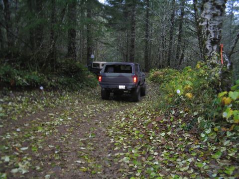 1989 Ford Bronco - Two SUVs navigate a wooded trail covered in fallen leaves. The lead vehicle is dark colored.