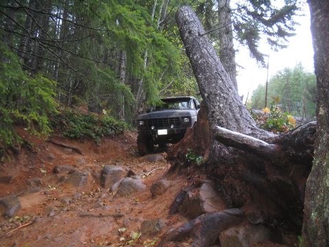 1989 Ford Bronco - A dark SUV navigates a challenging, rocky path in a dense forest, suggesting off-road adventure.