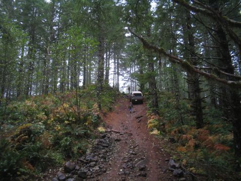 1989 Ford Bronco - A van navigates a steep, dirt path through a dense forest with tall trees and undergrowth.