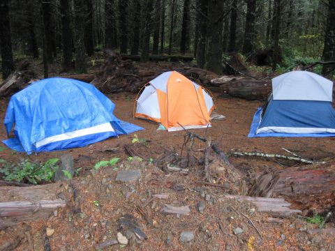 1979 Ford Bronco - A campsite in a dense forest features three tents of various colors, including blue, orange, and white.