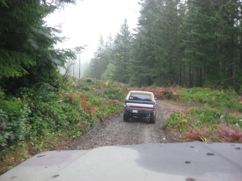 1979 Ford Bronco - A truck drives down a gravel road surrounded by trees on a foggy day.