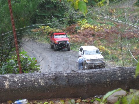 1979 Ford Bronco - Two trucks navigate a rough dirt road surrounded by dense forest and autumn foliage.