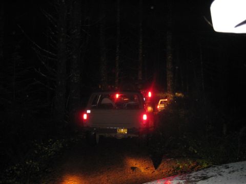 1979 Ford Bronco - Vehicles navigate a dark, wooded area at night, with the lead vehicle's brake lights illuminating the path.