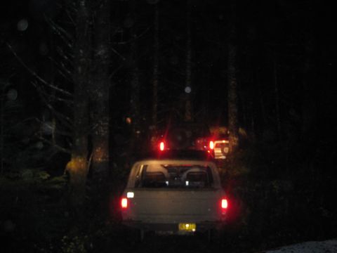 1979 Ford Bronco - Multiple vehicles drive through a dark forest at night, their taillights illuminating the path.