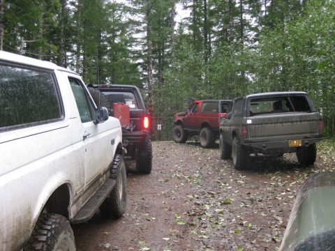 1979 Ford Bronco - Several Ford Broncos are parked in a wooded area, suggesting an off-road excursion.