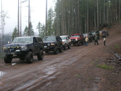 1996 Ford Bronco - A line of modified Ford Broncos and other SUVs drive down a dirt road in a forest.