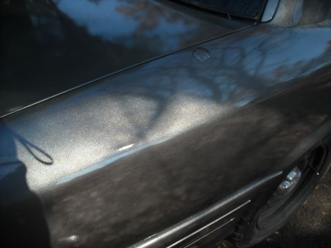 2000 Ford Crown Victoria - Close-up of the metallic paint on a 2000 Ford Crown Victoria's fender and hood.