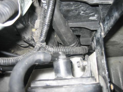 1996 Ford Thunderbird - A detailed view of engine bay components, including hoses and wiring, is shown.