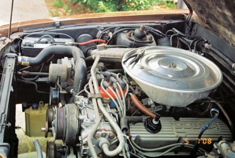 1980 Ford Mustang - Close-up of a Ford 5.0L V8 engine, a Cobra valve cover and air intake system.