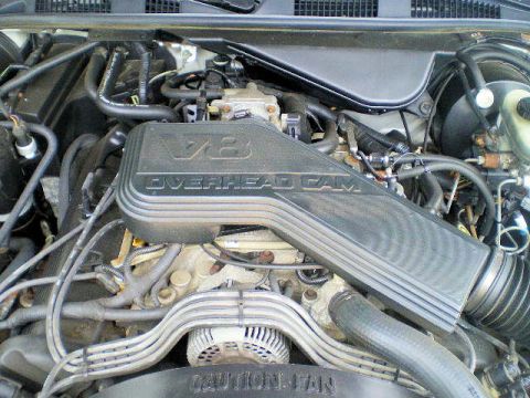 1992 Ford Crown Victoria - Close-up view of a V8 engine bay, showing the Overhead Cam cover and fan warning label.