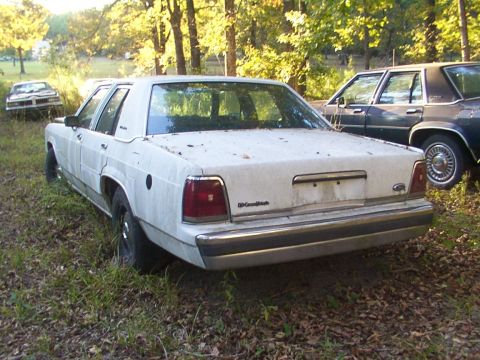 1991 Ford LTD Crown Victoria - A white 1991 Ford Crown Victoria LTD sits in a grassy area with trees in the background, alongside another vehicle.