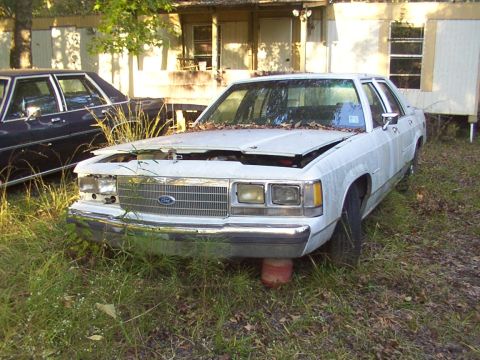 1991 Ford LTD Crown Victoria - This white Ford Crown Victoria is parked in overgrown grass with its hood open, next to another car.