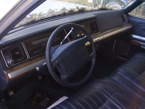 1991 Ford LTD Crown Victoria - Interior view of a car, showing the dashboard, steering wheel, and seats, with leaves on the dashboard.