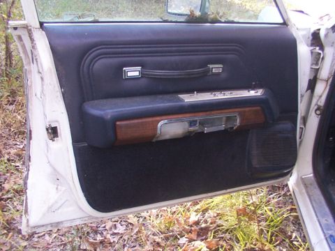 1991 Ford LTD Crown Victoria - Close-up of the interior door panel, showing the armrest, door handle, and window controls.