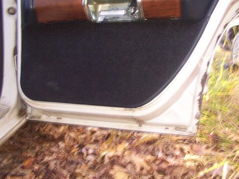 1991 Ford LTD Crown Victoria - A glimpse inside a vehicle reveals patterned seats and a person wearing a yellow shirt.