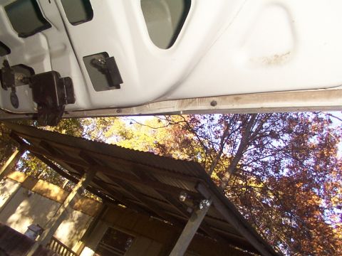 1991 Ford LTD Crown Victoria - View from inside a car looking out through an open door, showing the latch and the surrounding outdoor scenery.