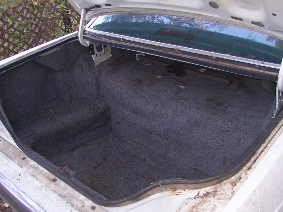White car trunk interior with gray carpet lining