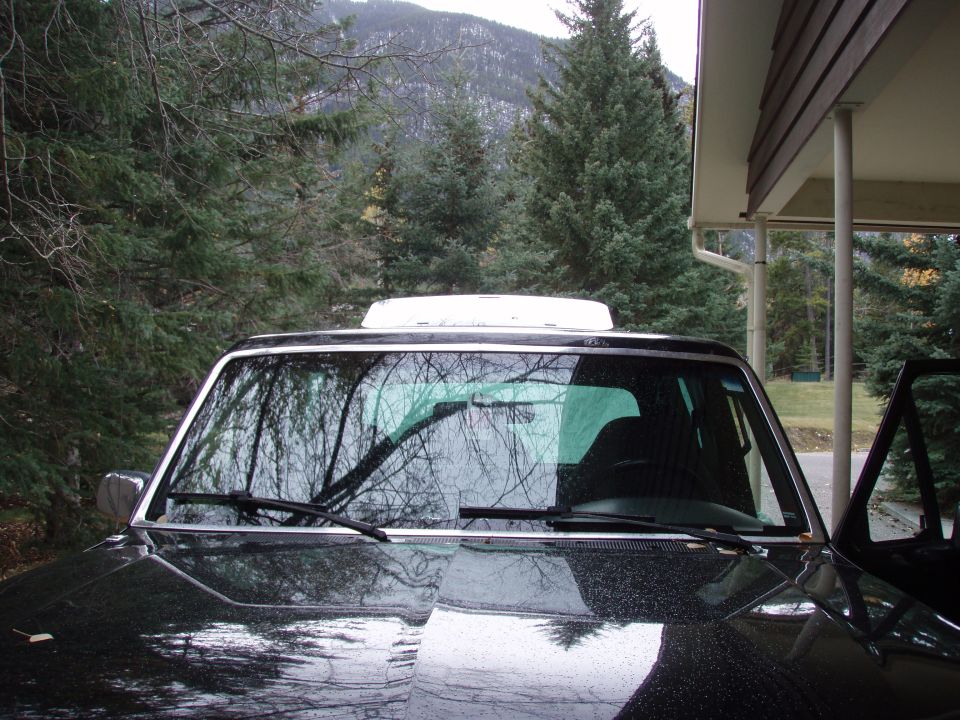 Windshield and roof of a dark truck parked under trees