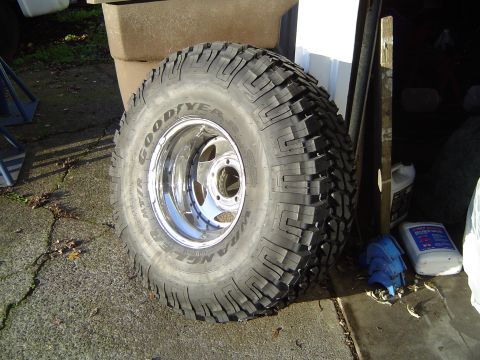 1989 Ford Bronco - Spare