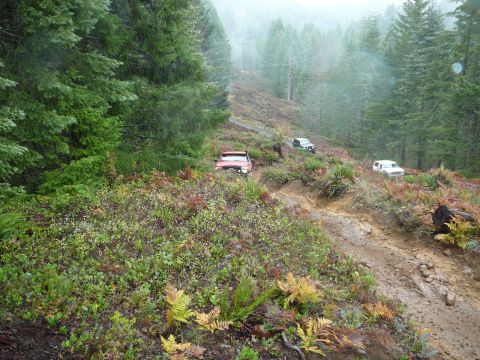 1991 Ford Bronco - Several SUVs traverse a challenging off-road path through a forested area.