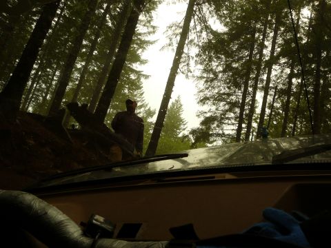 1991 Ford Bronco - View from inside a vehicle looking out through the windshield at a person standing amongst tall trees in a forest.