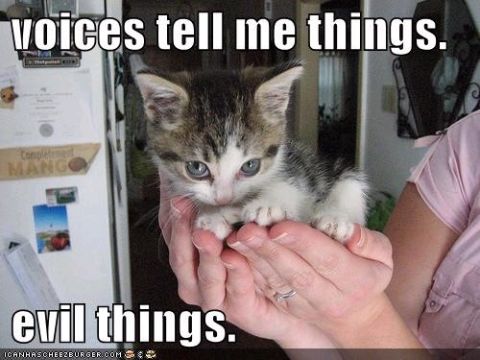 1976 Ford F-150 - A kitten is held in hands with text overlays that read 'voices tell me things. evil things.'