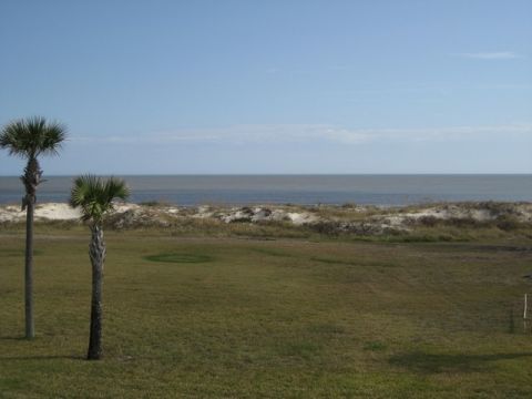 1995 Ford Bronco - A tranquil scene of the ocean horizon viewed over sand dunes and grassy terrain with two palm trees in the foreground.