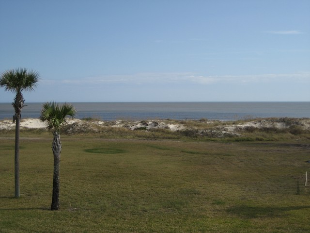 Ocean view with sand dunes and palm trees